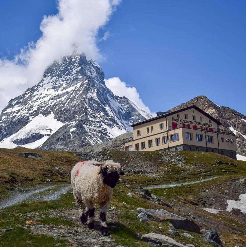 Hotel Schwarzsee Zermatt Extérieur photo
